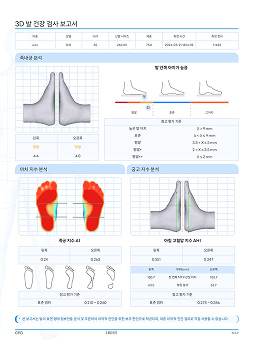 3D 발 건강 검사 보고서 1
