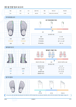 3D 발 건강 검사 보고서 2