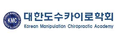 대한도수카이로학회