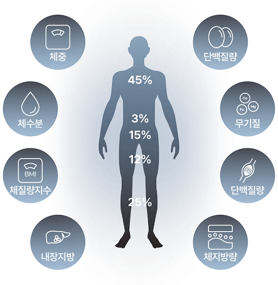 28가지 체성분 체수분 분석 인포그래픽