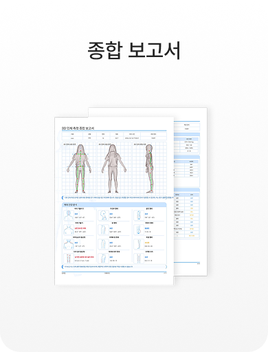 종합 보고서